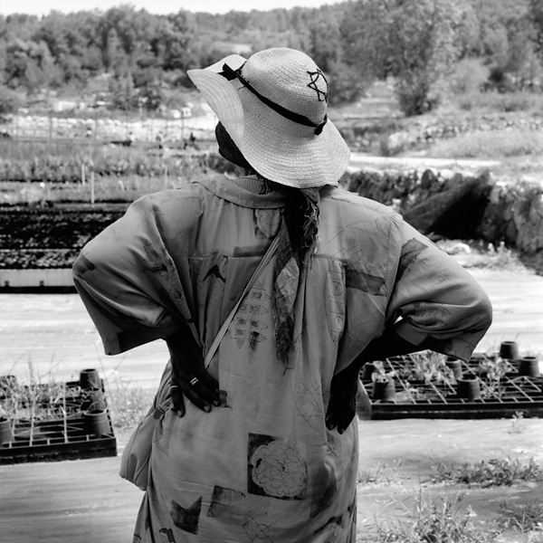 Woman with hands on hips looking toward landscape