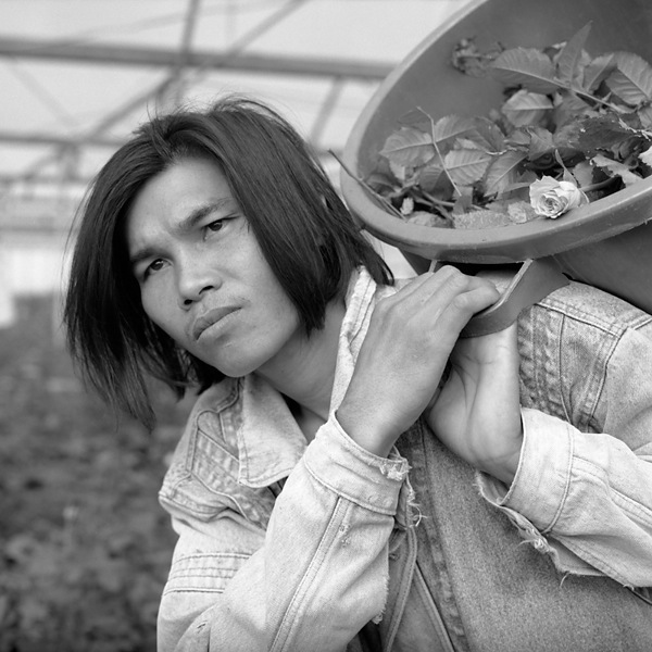 Man with basket of Flowers