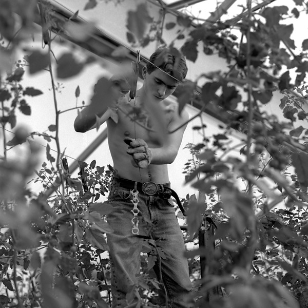 Boy mending fence