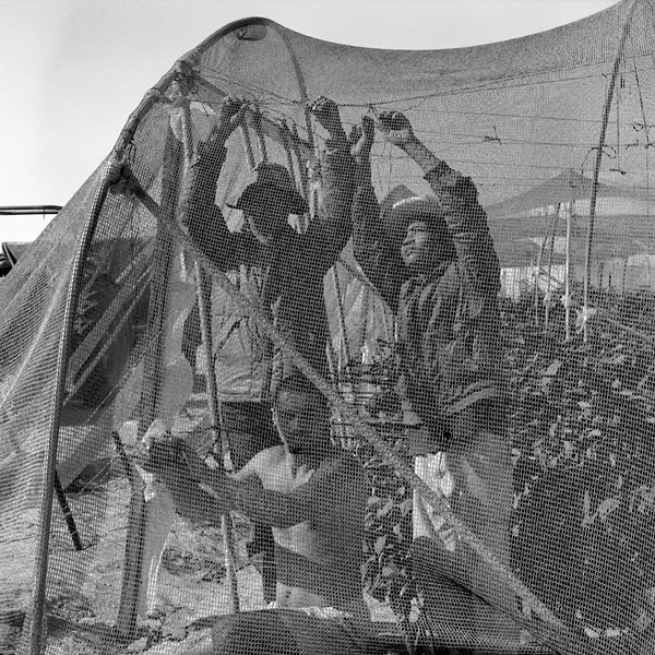 Three Men working on netting